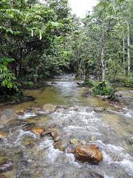 Share your visit experience about sungai bantang recreational forest, malaysia and rate it Sungai Tua Recreational Forest Selangor Destimap Destinations On Map