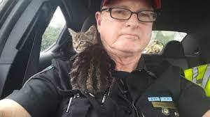 Dona Hettinger's Instagram, Twitter & Facebook