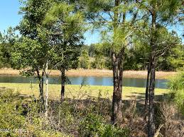 143 Spicer Lake Drive, Holly Ridge, NC 28445