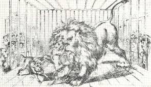 The gorilla and lion are both giant animals but who would win if th. Lion Baiting Wikipedia