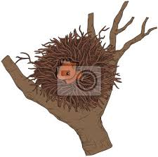 Alright guys get ready for a ult flex. Eichhornchen Im Kobel Vektor Illustration Wandposter Poster Baumwipfel Eichhornchen Freigeben Myloview De