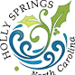 Teen Recreation Advisory Council event in Holly Springs, NC