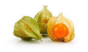 So mancher gärtner schwört darauf, physalis seien erst dann reif, wenn sie alleine vom strauch abfallen. Physalis Nachreifen Lassen So Geht S