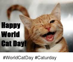 Maybe you would like to learn more about one of these? Happy World Cat Day Worldcatday Caturday Caturday Meme On Esmemes Com