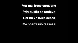 O coloană alcătuită din 22 de autospeciale specializate decorate frumos a. Aurel Tamas Caravana Karaoke Youtube