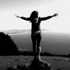 The Wild — The Bee // Storytelling in SLC