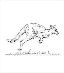 This animal is a group of mammals that have unique characteristics on their bodies, namely the presence of pockets in the abdomen or also called marsupials. Realistic Kangaroo Coloring Page Coloringbay