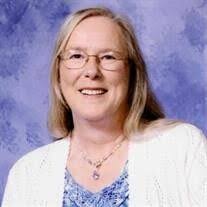 Scott Shuck's Instagram, Twitter & Facebook