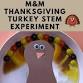 Little STEAM Lab-Thankful for STEAM event image