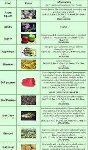 Food List Pg1 Iguanas Tablas De Alimentos