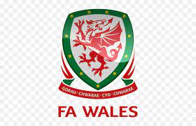 Is one of the png about free university of new south wales png. Wales Football Logo Png Wales National Football Team Logo Png Emoji Wales Emoji Free Transparent Emoji Emojipng Com