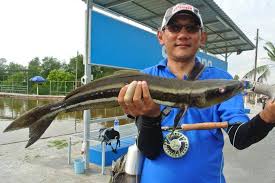 Fishing At Fishing Buddies Pond Previously Jurassic Sw In Sepang Selangor Sport Fishing Asia