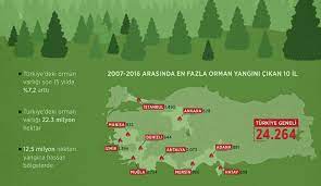 Türkiye'de orman yangınlarına neden olan başlıca doğal etmen yıldırım düşmesi ve rüzgârdır. Turkiye De Son 10 Yilda 24 Bin 264 Orman Yangini Cikti Dunya Gazetesi