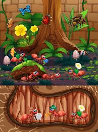 Image result for tbn:ekRZeqiUkU8b5M::www.hormiga.org/fondosescritorio/wallpapers/Paisajes-y-naturaleza/fotos/Paisajes-22.jpg