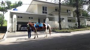 Hasil gambar untuk poto villa casa kampung daun lembang