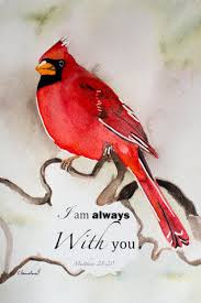 Watercolor Painting Of Cardinal Red Bird With Bible Verse Bird Red Bird Tattoos Red Birds Birds Painting