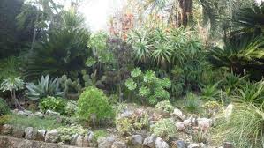 Le Jardin Botanique Exotique De Menton Du Val Rahmeh Des Arbres Acclimates Le Jardin Des Cistes A Montpellier Jardin Botanique Jardins Exotique