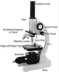Does the diaphragm work without spermicide? Microscope Parts And Its Functions Brainly In
