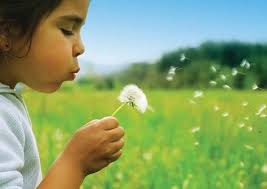 The Australian Fetal Alcohol Spectrum Disorders Action Plan 2013–2016