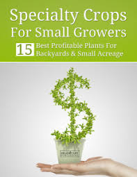 Established conventional flower producers are already saturating the market, selling cheap products. Growing For Market How To Start A Flower Growing Business Profitable Plants