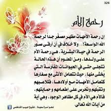 رحمة الام place card holders card holder place cards