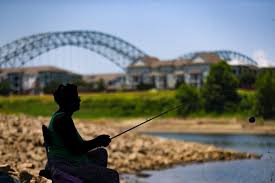 Can you eat fish from the Mississippi River? Here's what to know