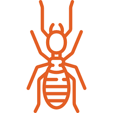 With years of experience in the pest control industry, termite and pest control inc. Pest Control Removal Gold Canyon Az Desert Views Pest Control