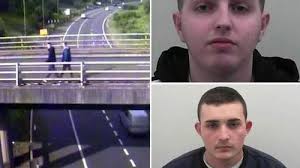 GoPro camera captures what it's like to be devoured by a shark in  terrifying footage