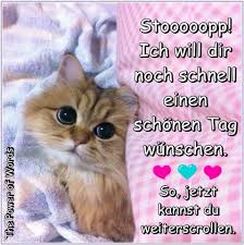 Schoner Tag Guten Morgen Lustig Liebe Guten Morgen Grusse Guten Morgen Smiley
