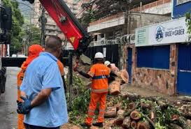 Chuva no Rio: queda de árvore na Tijuca deixa parte do bairro sem luz