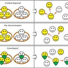 Pdf Theory Of Cooperation