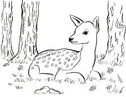 Select from 35754 printable crafts of cartoons, nature, animals, bible and many more. Free Printable Coloring Pages For Kids And Adults Printable Deer Coloring Pages For Adults Coloring Home
