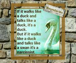 Boundaries If It Walks Like A Duck And Talks Like A Duck It S A Duck But If It Walks Like A Duck And Talks Like A Swan It S A Narcissist Boundaries