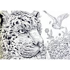 Imagimorphia an extreme coloring and search challenge. Imagimorphia An Extreme Colouring And Search Challenge The Works