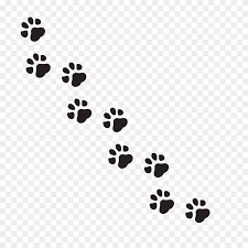 Paw Print Vector Illustration Paw Illustration Paw Print Illustration