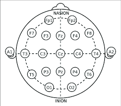 The 10 20 International System Of Eeg Electrode Placement