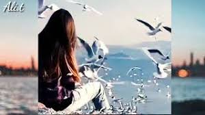 We did not find results for: ÙØ±Ø¹ Ø´Ø¬Ø±Ø© Ø¶Ø±Ø¨Øª Ø§Ù„Ø´Ø§Ø­Ù†Ø© ØµØ§Ø­Ø¨ Ù…ØªØ¬Ø± ÙŠØ§ Ø·ÙŠØ±Ø© Ø·ÙŠØ±ÙŠ ÙŠØ§ Ø­Ù…Ø§Ù…Ø© Ø³Ù…Ø¹Ù†Ø§ Jespro Retreats Org