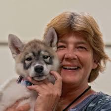 Miniature Poodle Line up Best of Variety PCA