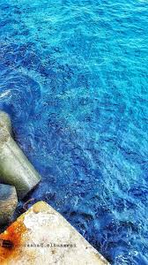 بحر غزة instagram photo instagram photo