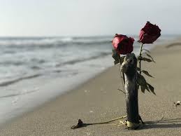 Red rose on the beach with a heart in the sand. Sand Rose 1080p 2k 4k 5k Hd Wallpapers Free Download Wallpaper Flare