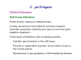 Maybe you would like to learn more about one of these? Clostridium Lecturer Reham M M Almosawi Medical Microbiology