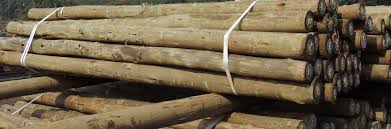 Excellent for the mechanical harvesting of grapes, for fences, gardening and various. Wooden Poles