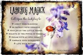 The word derives from a germanic word meaning strength. Ladybug Spirit Oil Patience Blessings Animal Spirit Guides Spirit Animal Meaning Animal Totem Spirit Guides