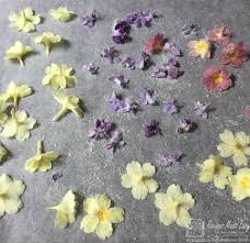 We have 23 edible flowers in this post and you'll learn which are food safe. How To Make Crystallised Flowers Recipes Made Easy