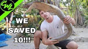 Chandler's wildlife real name