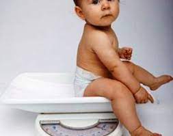 Ini karena asi lebih mudah dicerna oleh tubuh bayi, sehingga si kecil akan lebih cepat lapar dan skin to skin dapat jadi cara menaikkan berat badan bayi asi lho. Cara Ampuh Menaikan Berat Badan Bayi Bidanku Com