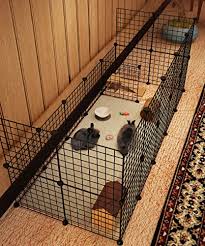 Meerschweinchen sind gesellige, tagaktive tiere. Meerschweinchen Kafig Fur Eine Artgerechte Innenhaltung