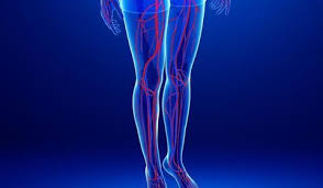 Jambe is a settlement in kenya's kwale county. Comment Fonctionne Le Systeme Veineux Des Jambes Doctissimo