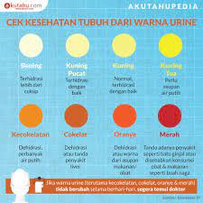 Namun ada jenis sperma yang berbeda berdasarkan warna yang menandakan kesehatan pria. Cek Kesehatan Tubuh Dari Warna Urine Akutahu Com Sekejap Lebih Cerdas