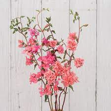 Pin On Cut Flower Garden